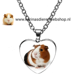 Ketting met hanger hartvormig Cavia