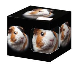 Cavia Mok Guinea Pig Eyes