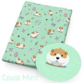 Cavia Mint