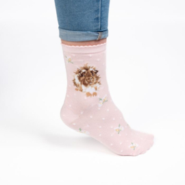 Cavia sokken " Grinny Pig " - Wrendale Designs