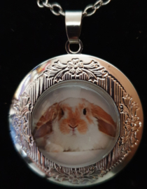 Ketting met medaillon / memory locket  konijn