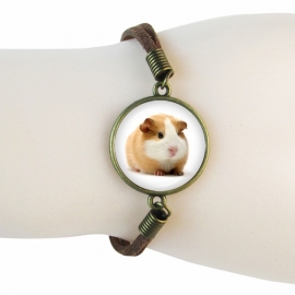 armband cavia