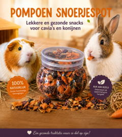 Pompoen snoepjespot HALLOWEEN