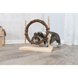 Behendigheidsset / Agility-set met horde en ring