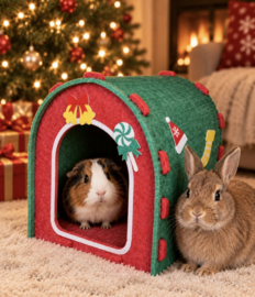Kerst Relax Huis
