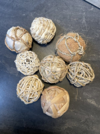 Quapas! Giftbox Knaagdier 8 stuks