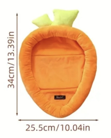 Carrot Bed