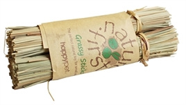 Grassy Sticks