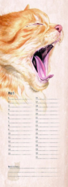 Katten verjaardagskalender