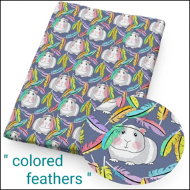 Cavia Print " colored feathers "