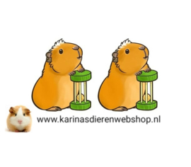 Oorbellen cavia CAVIA MET SPEELGOED