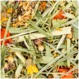 JR farm knaagdier groente tuin 150 gram
