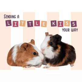 Kaart A5 Little Kiss Guinea Pigs