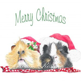 Cadeau Kaartje Cavia Kerst Charlie & BenBen