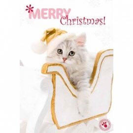 Kerstkaart kitten in arreslee