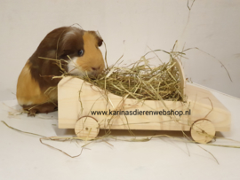 Cavia Konijn Auto "NIEUW"