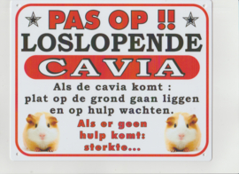 Waakbord loslopende cavia