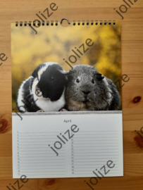 Cavia Verjaardagskalender