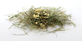 Herbal Hay Weegbree & Appel 500 gram (groen)