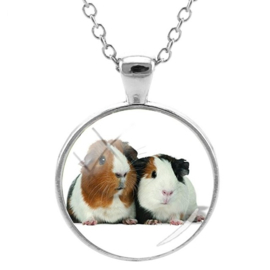 Ketting met hanger Cavia