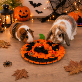 Snuffelmat " Pompoen " HALLOWEEN