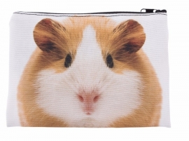 Make up tas /  kleine toilet tas / etui Cavia