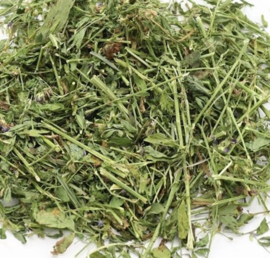 Luzerne Alfalfa- grof 1 kilo GROOTVERPAKKING
