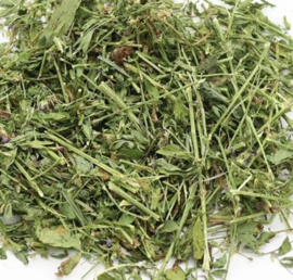 Luzerne Alfalfa- grof 250 gram