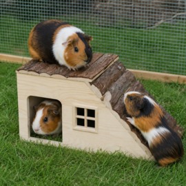 Speel huis Ramses XL