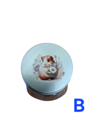 Snoepjespot Cavia , gevuld (B)