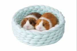 Quapas! mand Vlecht Mint