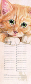 Katten verjaardagskalender