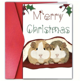 Kerst kaart Cavia " Merry Christmas "