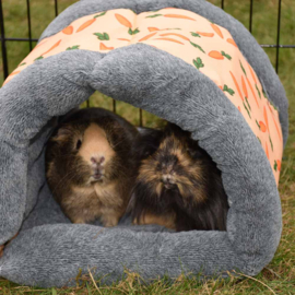Snuggle and Sleep Tunnel met wortel print