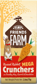 Tiny Friends Farm Giant Carrots 3 stuks