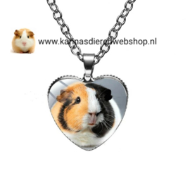 Ketting met hanger hartvormig Cavia