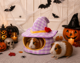 Bed Huis " heksenhoed " HALLOWEEN