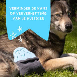 CoolPets Ice Penguin – ** GRATIS 1 BIJ BESTELLING VAN €25,- OF MEER