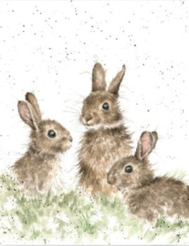 mini card konijnen  " Born Free " - Wrendale Designs