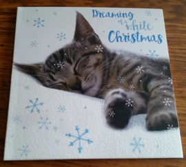 Kerstkaart Kitten Lux Snoozing 10 stuks 2 soorten