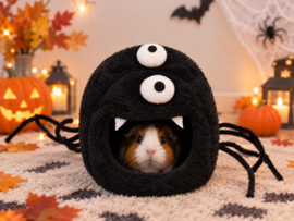 Cavia Bed SPIDER " Halloween "