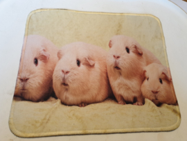 Muis mat computer cavia's