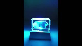 3D Laser Gravure Cavia