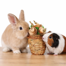 Quapas! Flower Pot - knaag speelgoed