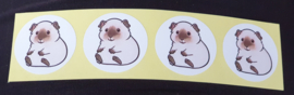 Sticker Cavia Rus 4 stuks