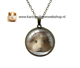 Ketting met hanger Cavia