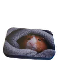 Cavia mini gift tin - metalen blikje Cavia
