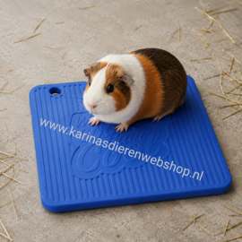 knaagdieren  coolpod blauw  ** ZOMER  **