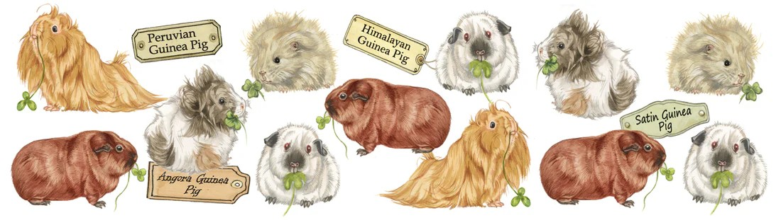 Mok met cavia collage 1