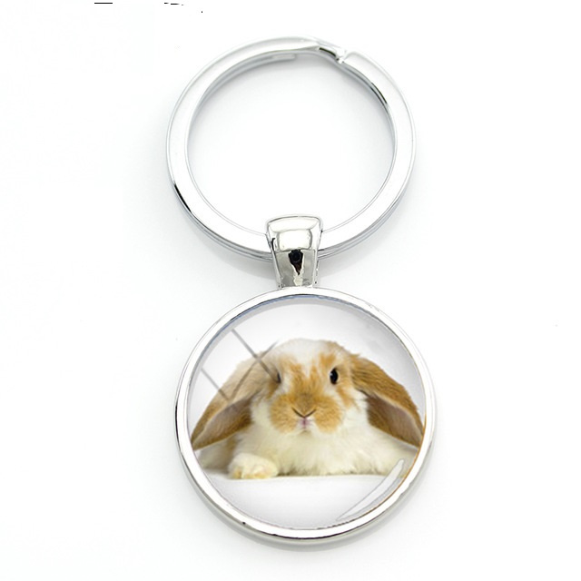 belegd broodje Kroniek Indrukwekkend sleutelhanger konijn | Sleutel hanger | Karinas Dierenwebshop